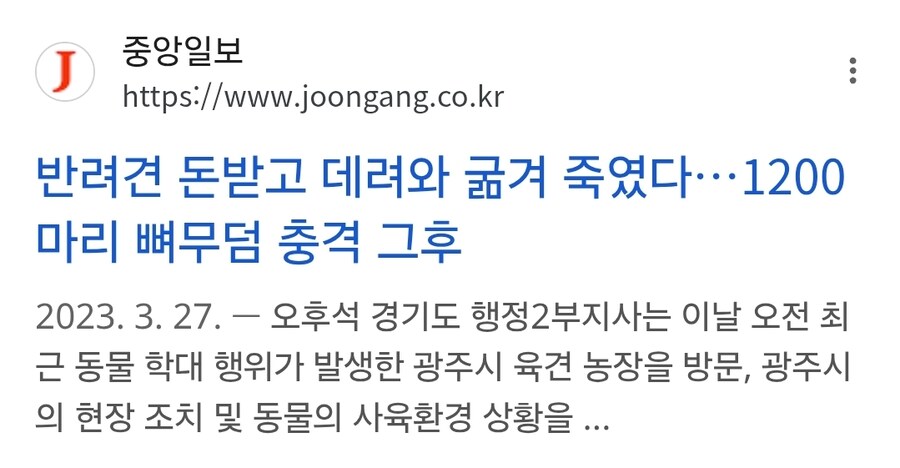 동물 안락사 시키지 않고 최대한 다른 보호소로 보내면 되는거아님?_1.jpg