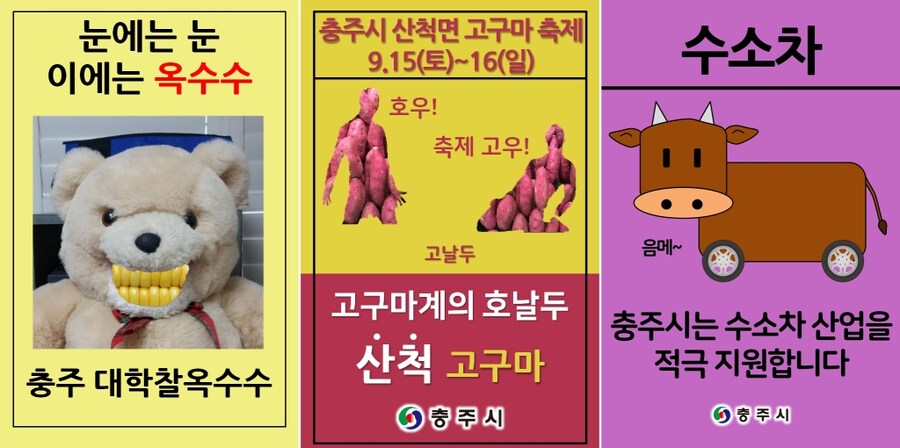 충주맨이 흥했던 이유는_1.jpg
