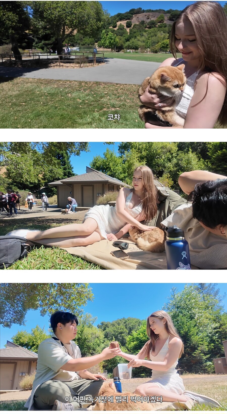 자꾸 악플이 달리고 있다는 영상_1.jpg