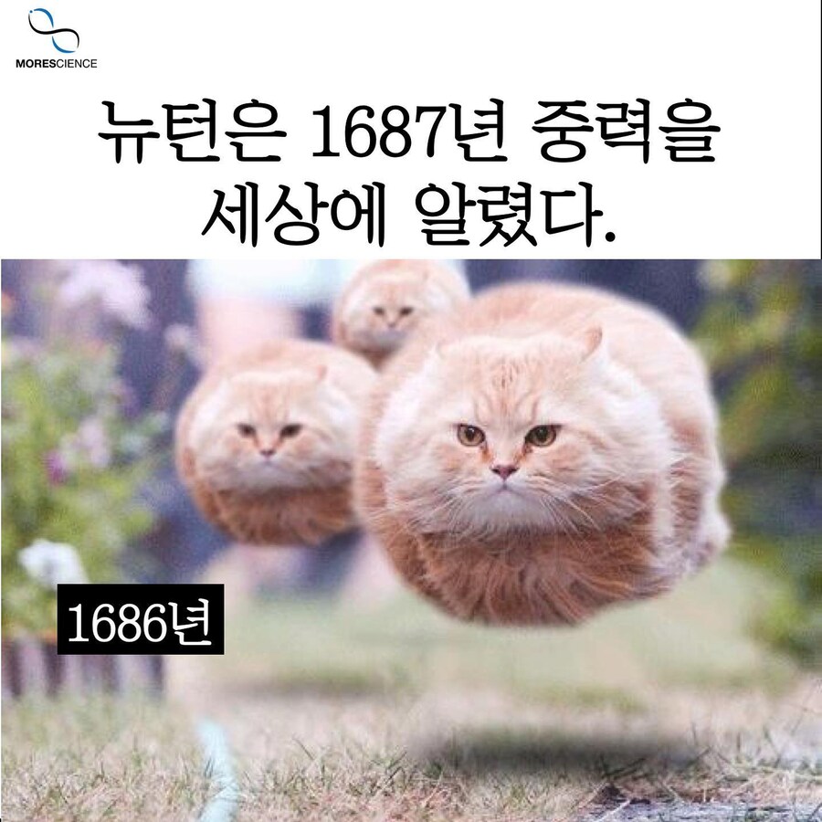 뉴턴이 중력을 발명하기 전 1686년까지의 세상.jpg_1.jpg