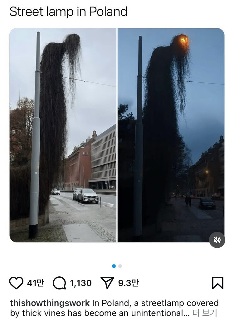 폴란드 팔척귀신_1.jpg