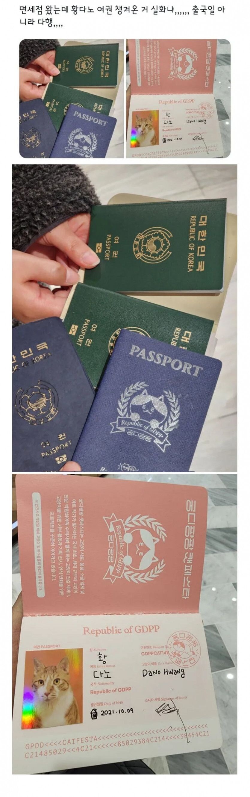 여권 잘못 챙겨 온 처자 jpg._1.jpg