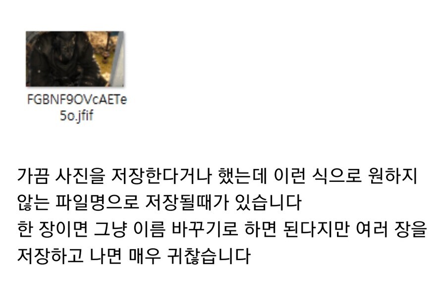 프로그램없이 파일 확장자 일괄로 바꾸는 법_2.jpg