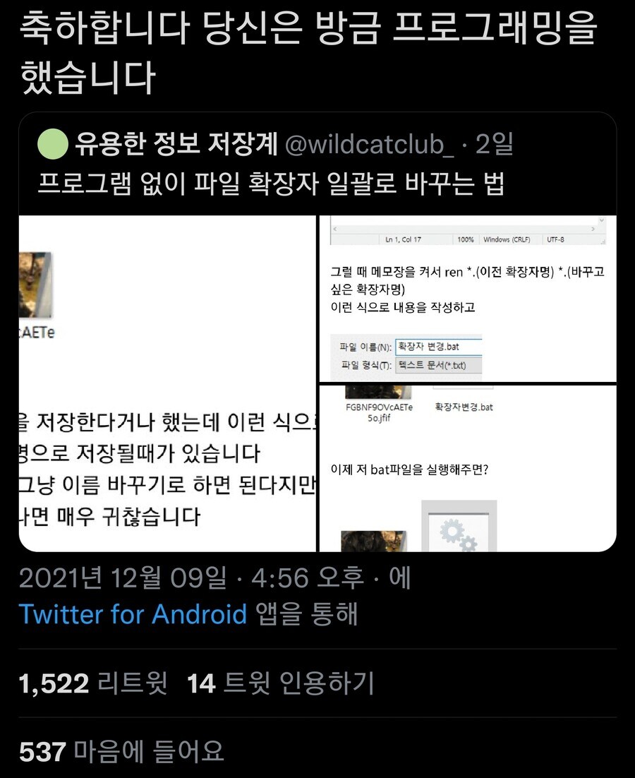 프로그램없이 파일 확장자 일괄로 바꾸는 법_5.jpg