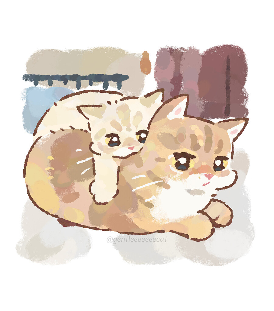 다른 고양이한테 업힌 고양이_1.jpg