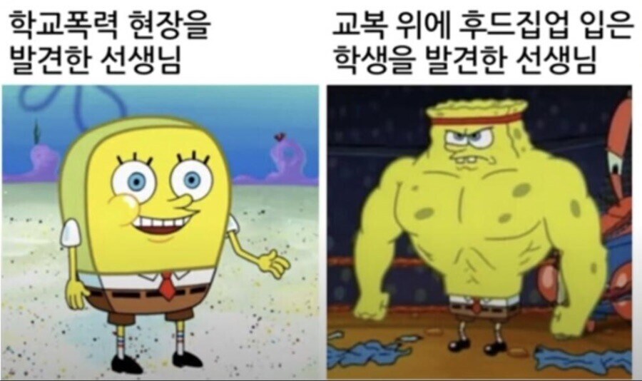 교사특징_1.jpg