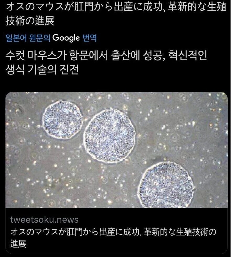 아쎄이 해병 공장이 되어랏!_1.jpg