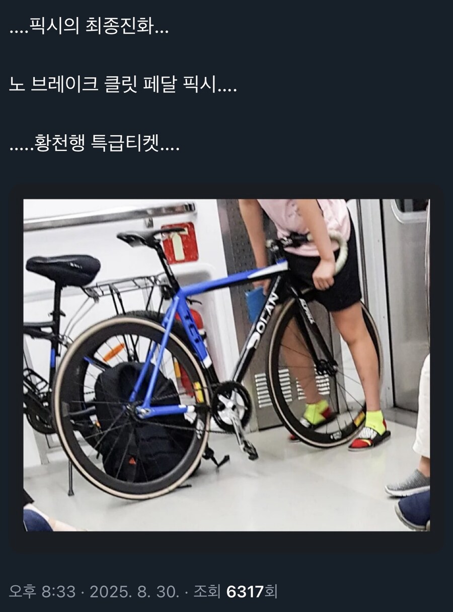 픽시의 최종 진화_1.jpg