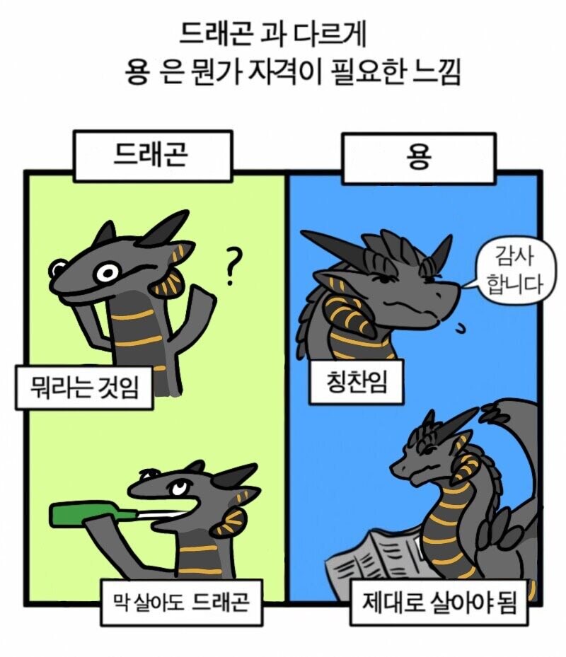 드래곤과 용의 차이_1.jpg
