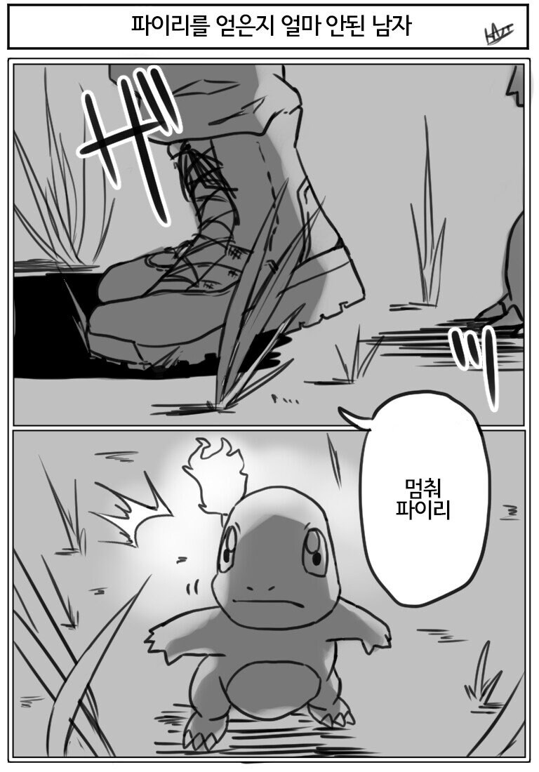 파이리를 잘 모르는 트레이너 대참사...jpg_1.png