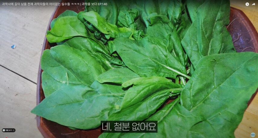 억지로 시금치 먹은 분들 개억울_3.png