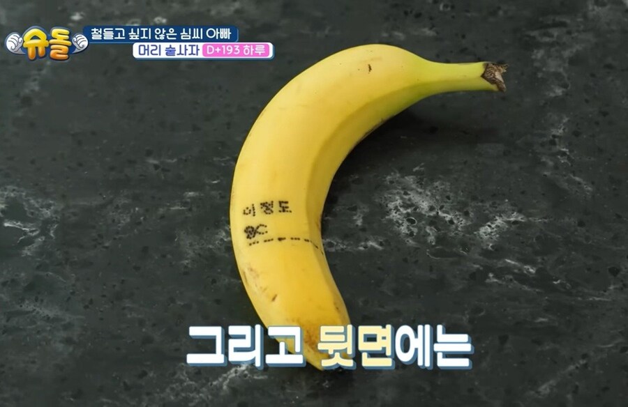 금손인데 센스까지 넘치는 심형탁 부인 사야_7.jpg
