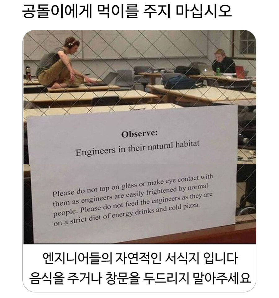 공돌이에게 먹이를 주지 마세요_1.jpg