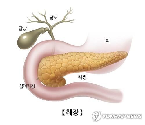 단거 먹으면 살찌는 이유 ㄹㅇ ㅋㅋㅋㅋ_3.jpg
