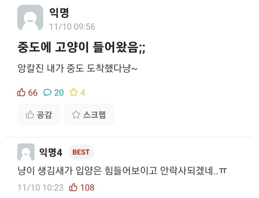 109명이 안락사 각이라는 고양이.jpg_1.png