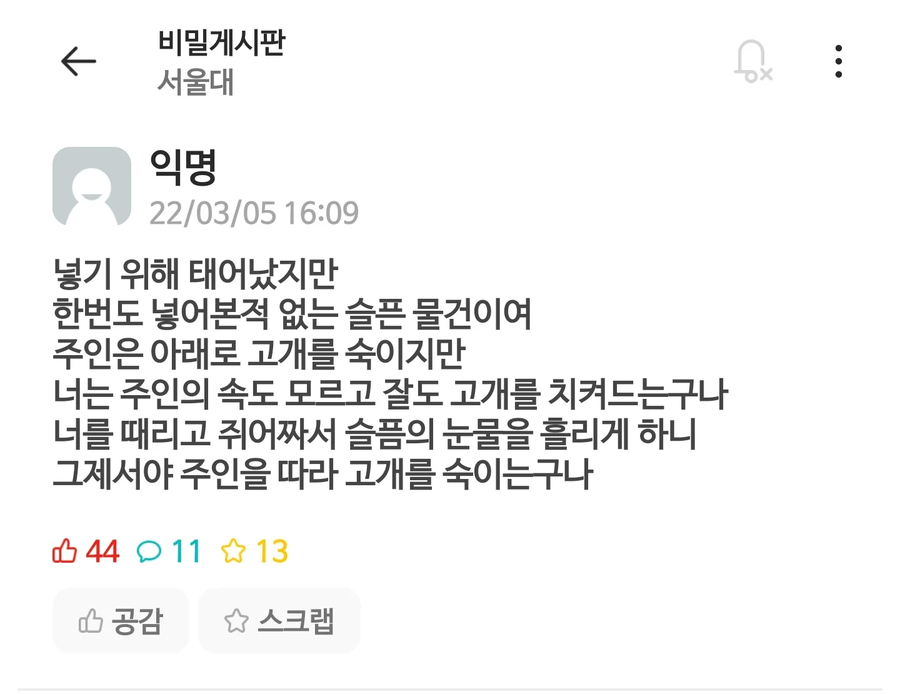 서울대 모솔아다 시인.jpg_1.webp