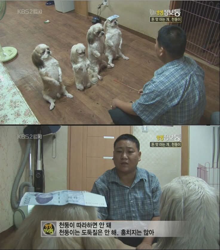 개귀에 경읽기_1.jpg