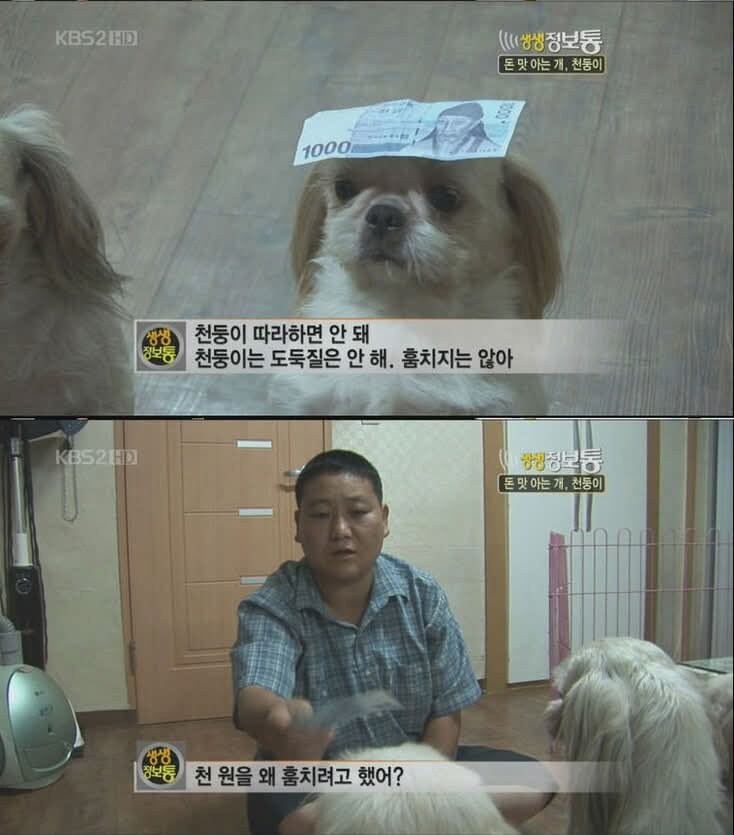 개귀에 경읽기_2.jpg