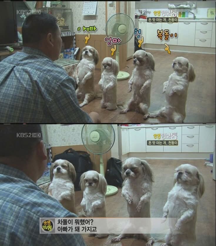 개귀에 경읽기_3.jpg