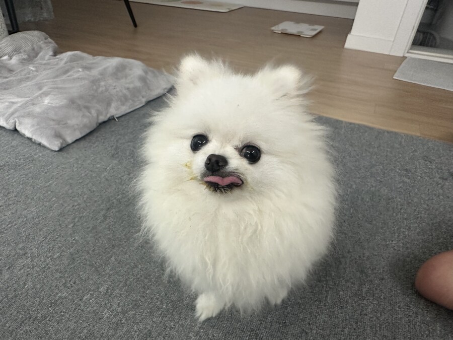 다들 빵값으로 싸우지 말고_1.jpg