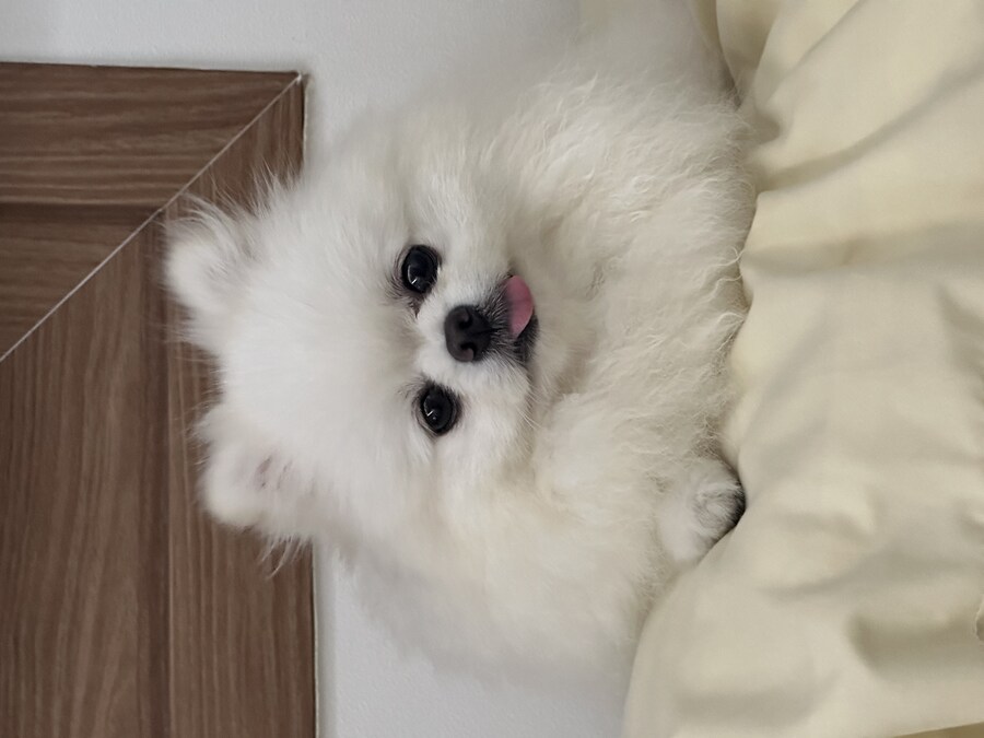 다들 빵값으로 싸우지 말고_2.jpg