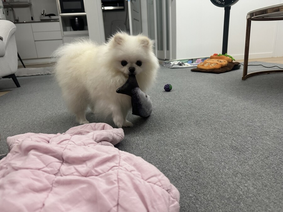 다들 빵값으로 싸우지 말고_3.jpg