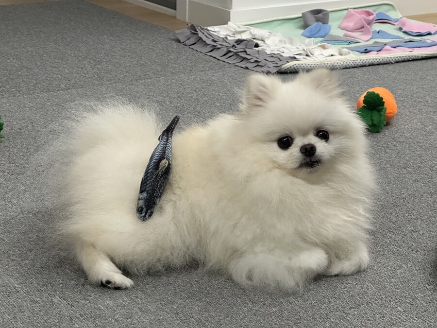다들 빵값으로 싸우지 말고_5.jpg