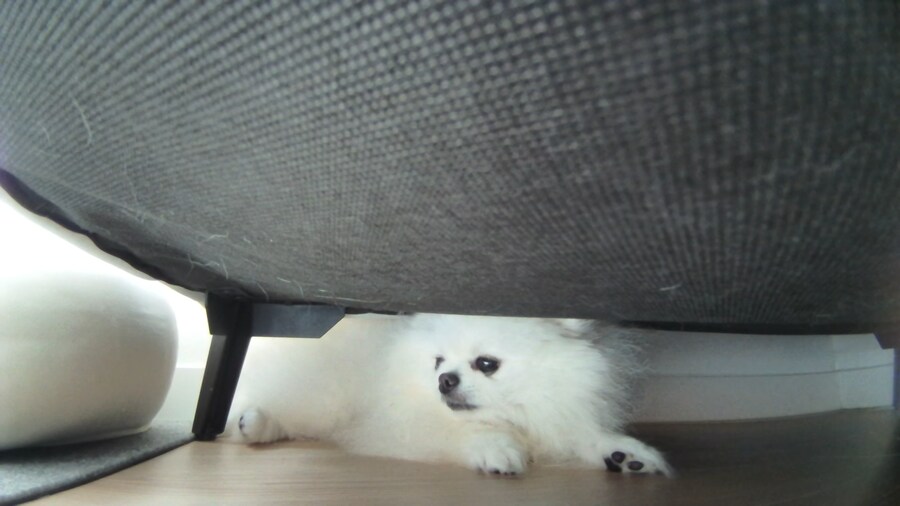 다들 빵값으로 싸우지 말고_6.png