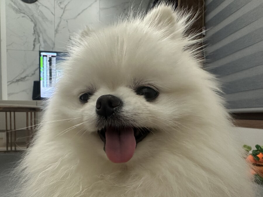 다들 빵값으로 싸우지 말고_9.jpg