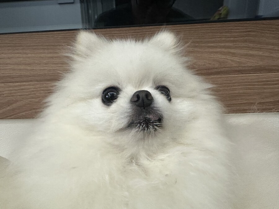 다들 빵값으로 싸우지 말고_10.jpg