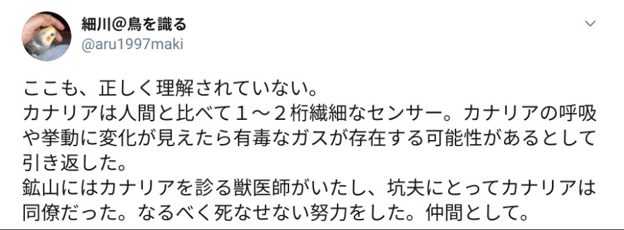 탄광의 카나리아에 대한 오해.jpg_2.png