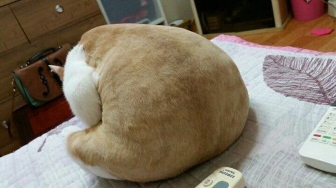 TV보면서 발톱깎는 어르신 뒷모습 특_1.jpg