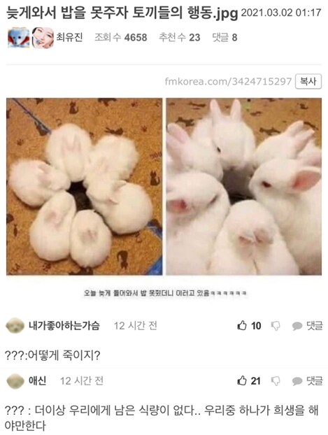 집사가 밥을 늦게 주자 토끼들이 한 의논_2.png