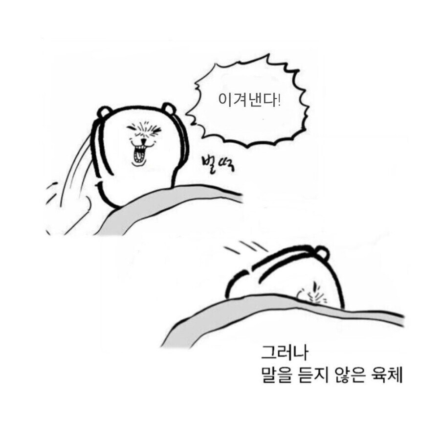 백수로서의 완성 .jpg_2.jpg
