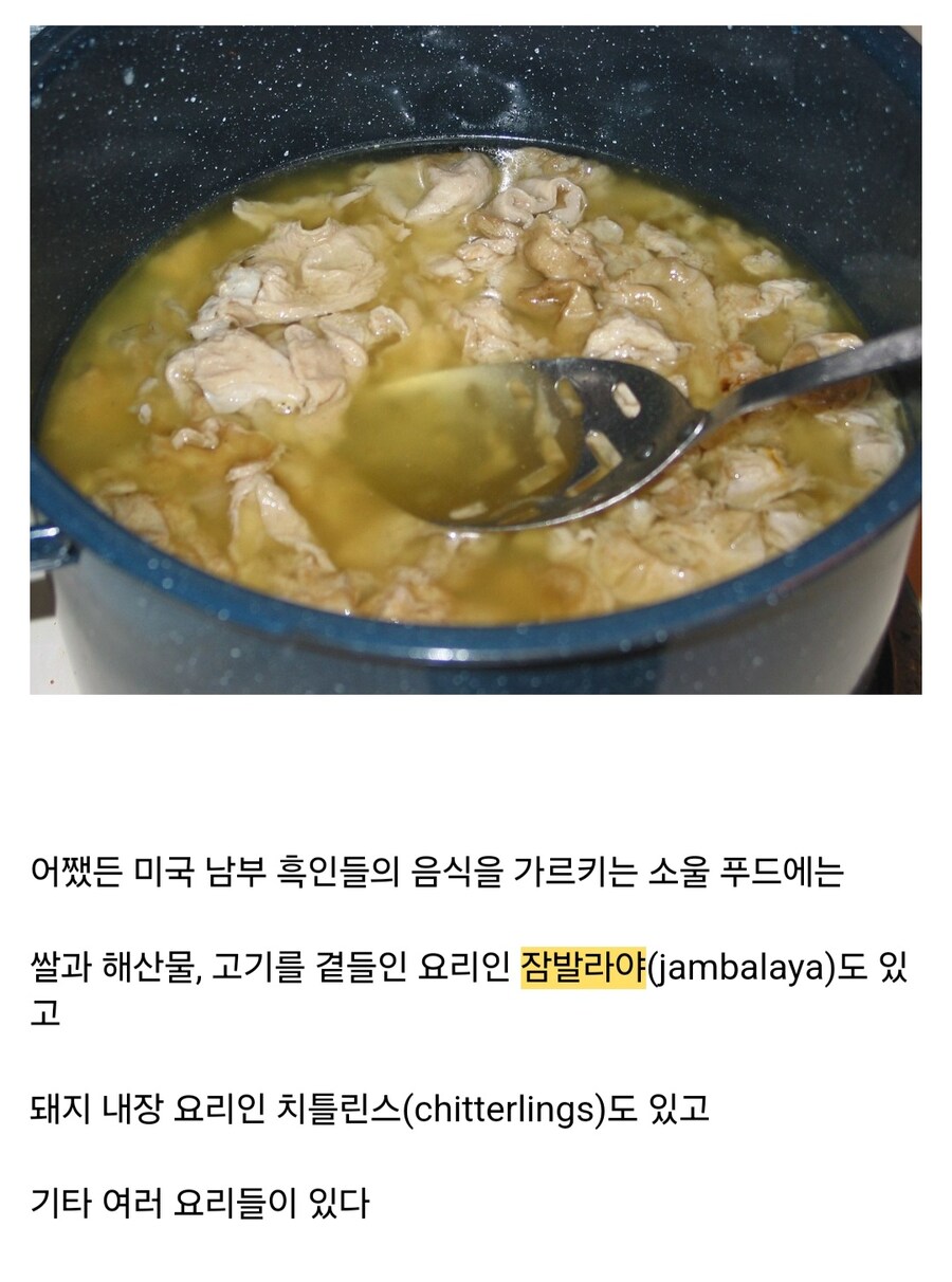 한국인의