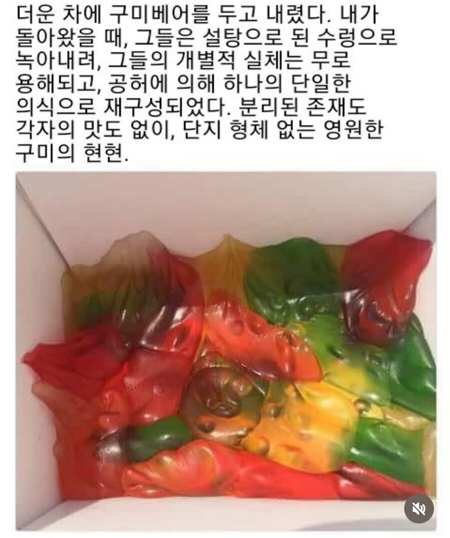 구미베어의 끝_1.jpg