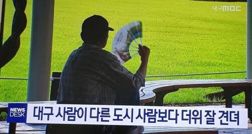 의외로 대구 사람이 갖고있는 자부심_1.jpg