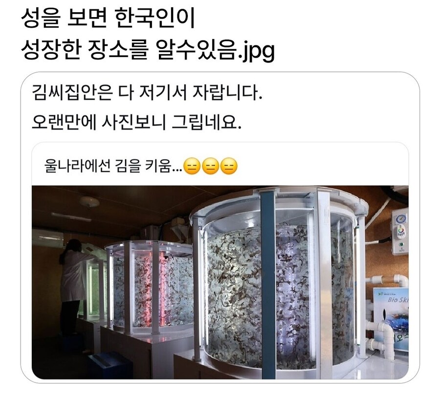 성씨 보면 걔네 출신이 보인다더라_1.jpg