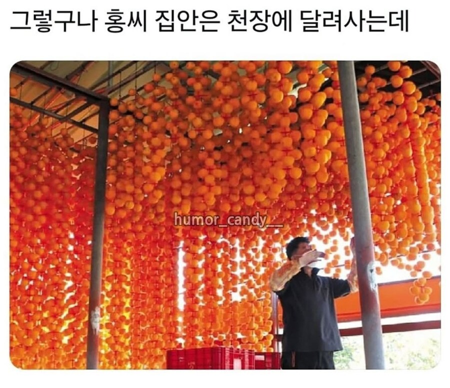 성씨 보면 걔네 출신이 보인다더라_6.jpg