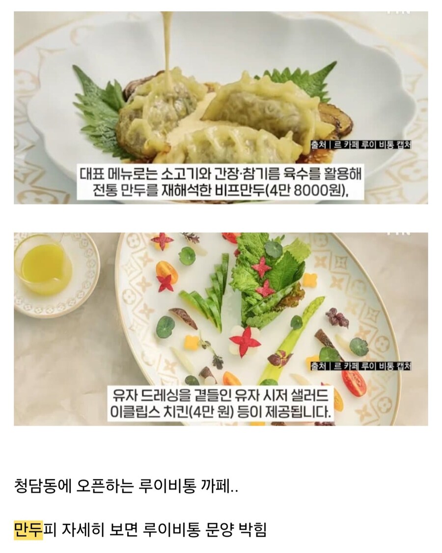 만두3개에 48,000원_1.jpg