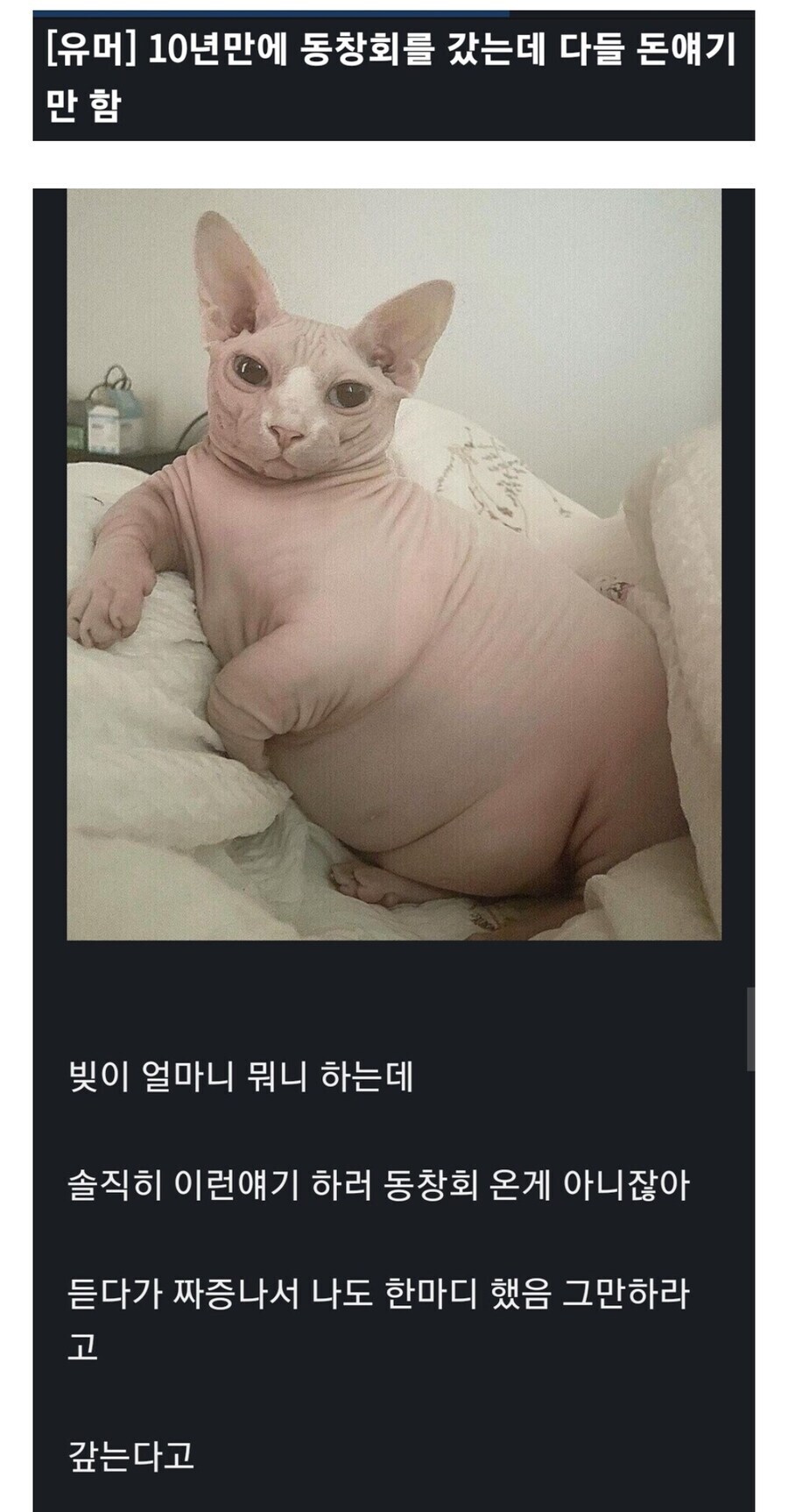 10년만에 동창회를 갔는데 다들 돈얘기만 함_1.jpg