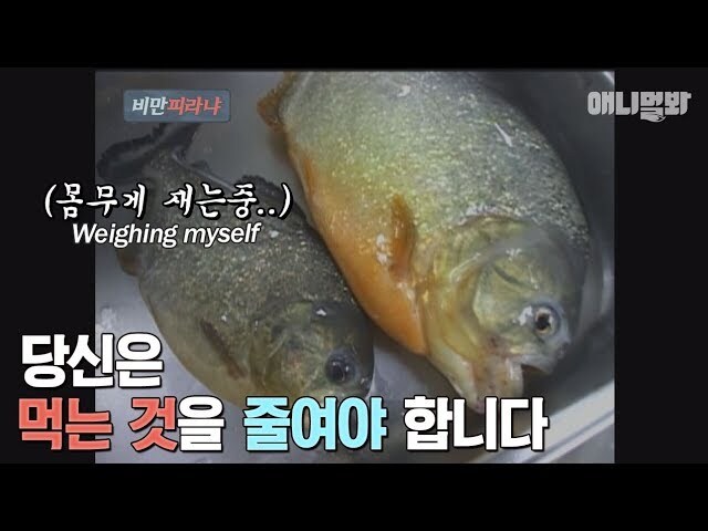 다음주 청계천 . jpg_1.jpg