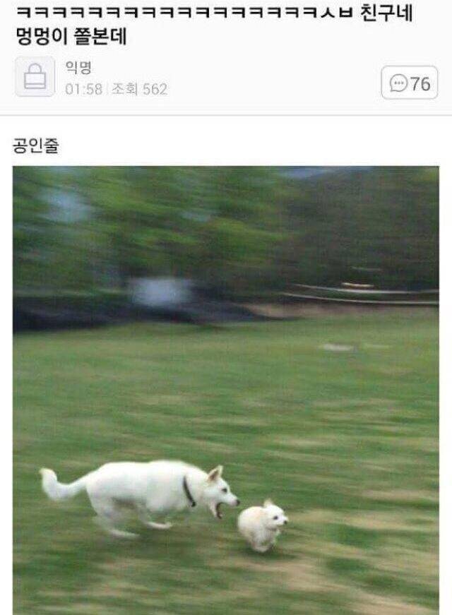 잡히기만 해봐라_1.jpg