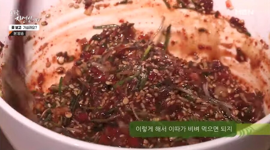 나는 자연인이다 출연자중 요리 잘했었던 여자 자연인_1.jpg