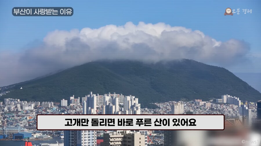 외국인 사이에서 부산관광이 라이징스타라네_8.png