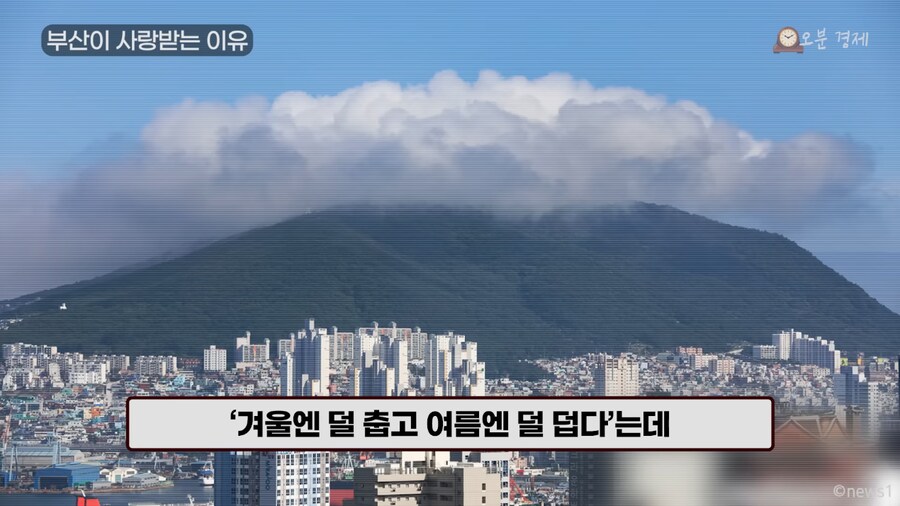 외국인 사이에서 부산관광이 라이징스타라네_9.png