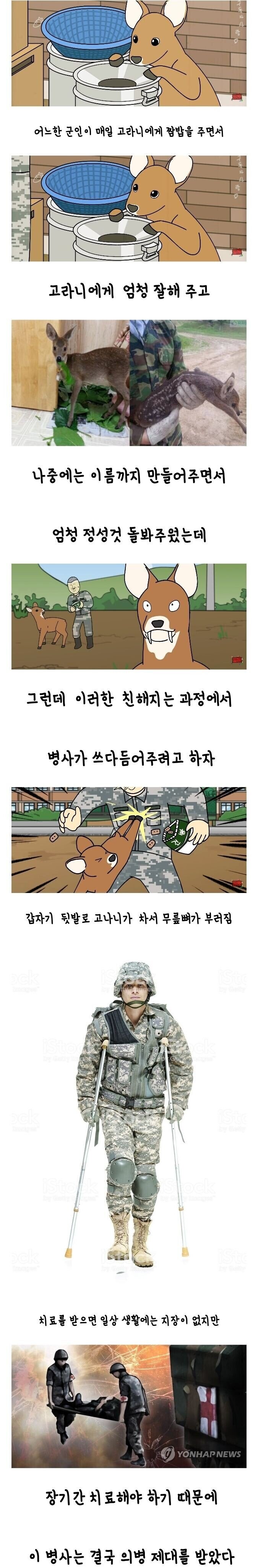 은혜를 원수로 갚은 고라니.jpg_1.jpg