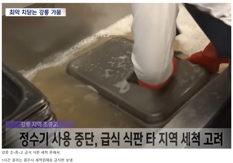 물이 없어 고생하는 강릉.jpg_2.png