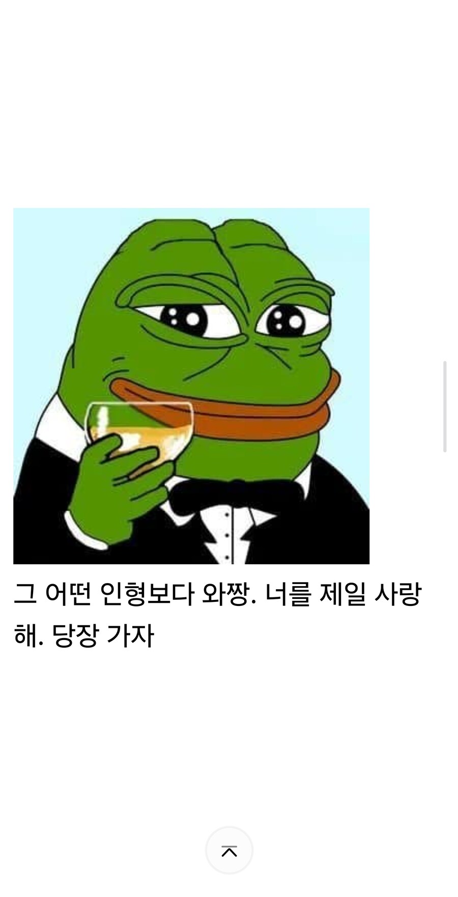 와쨩!!!! 와쨩!!!!