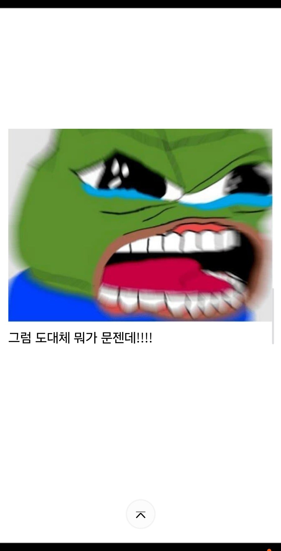와쨩!!!! 와쨩!!!!